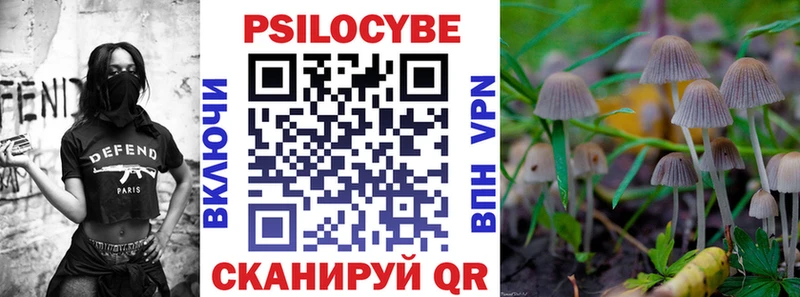 Псилоцибиновые грибы Psilocybe  Краснознаменск 